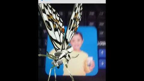 Object Detection and tracking 3d model