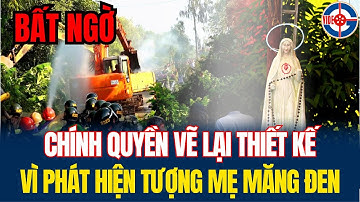 Tin Mới! Bất Ngờ với Phản Ứng của Chính Quyền Khi Phát Hiện Tượng Mẹ Măng Đen - Xin Cầu Nguyện!