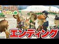 【牧場物語】ストーリー完結！エンディングを迎えました。【やすらぎの樹／Wii】