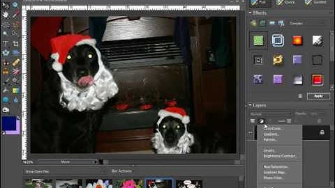 Photoshop Elements Tutorial Adjustment Layers and Fill Layers Adobe Training Lesson 10.10