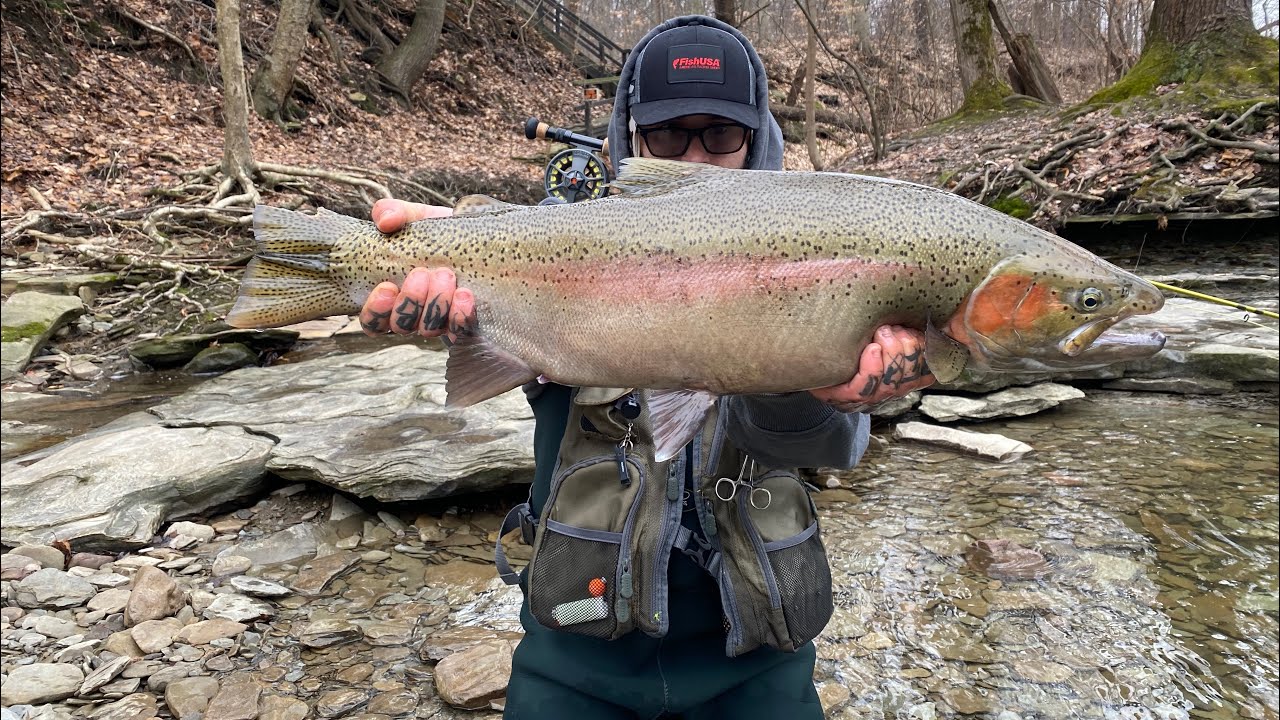 Steelhead Fishing (2023) (Erie, Pa) 