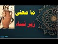 ما معنى مصطلح زير نساء هل له علاقة بزير الماء المعروف