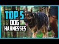 ✅Top 5 Best Dog Harnesses in 2025