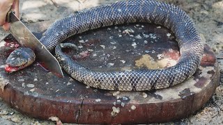 Giant Snake Soup  Delicious Big Python Boil For Food  Wilderness Food