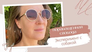 Как в людях поработили свободу | Свыклись с псевдонормой | эксперимент с собакой