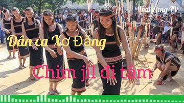 Dân ca Xơ Đăng (Xê đăng): Chim jil đi tắm