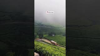 Explore️‍?   #rain #monsoon #trending #touristplace #shorts #adventure #vlogger #munnar #kerala