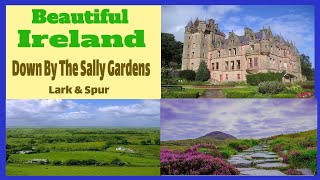 Down By The Sally Gardens Irish Celtic folk songs music chords