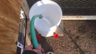 How To Make A Chicken Waterer Using 5 Gallon Bucket  Easy DIY