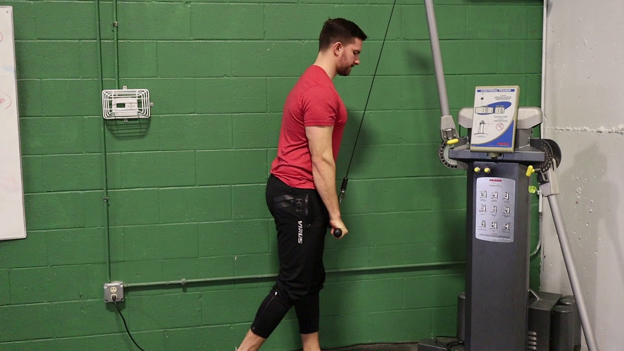 Straight Bar Triceps Pushdown YouTube