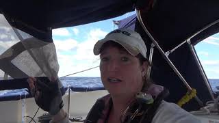 SV1 WildChild S02E20 Gulf Stream crossing to Florida