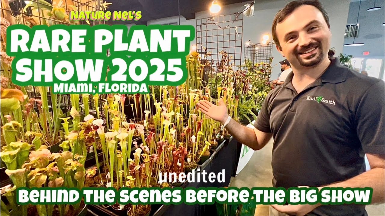 Behind the scenes of the Rare Plant Show in Miami, Fl presented by the Motes. Tons of plants!