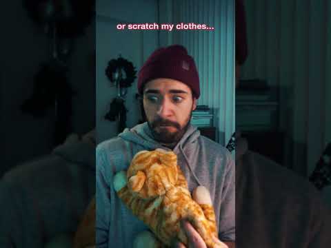 Cat took my seat song