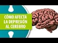 Cómo Afecta la Depresión al Cerebro