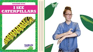 I See Caterpillars | ASL Story
