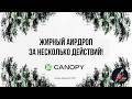Как Получить Большой Аирдроп от Canopy? Пошаговая Инструкция по Testnet.