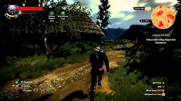 The Witcher 3 - Wild Hunt. Ladies Of The Wood. Part 24. XBOX ONE