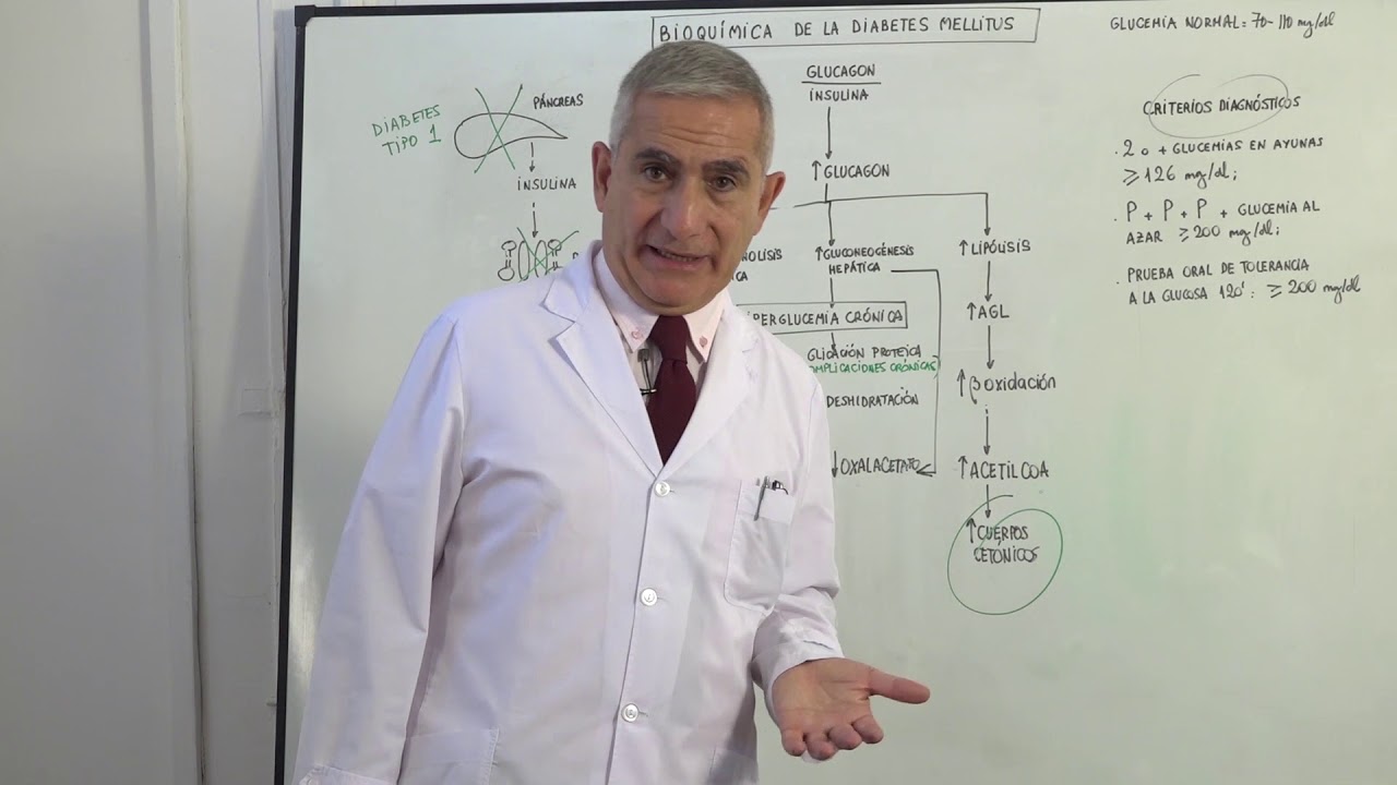 ALTERACIONES DEL METABOLISMO DIABETES MELLITUS