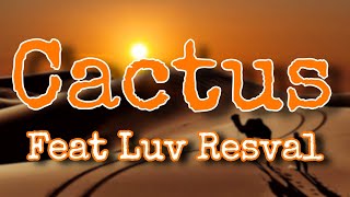 Cactus feat Luv Resval - Roméo Elvis (Paroles/Lyrics)