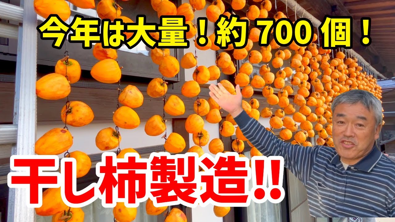 700!?】干し柿作り -We make dried persimmons- - YouTube 700!?】干し柿作り -We make dried persimmons- - YouTube