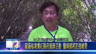 107 0413 鹽埔堤防綠色隧道 宛如卡通「龍貓」場景