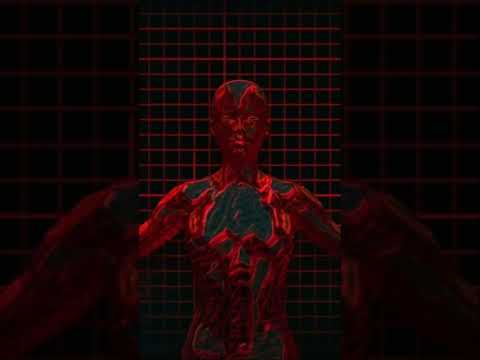 Что происходит с телом человека после смерти