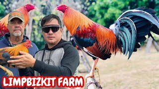 LIMPBIZKIT FARM Yellow Leg Hatch Jerry Jenkins Larry Romero