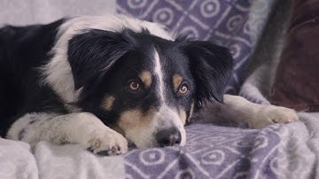 ADT Security - Install