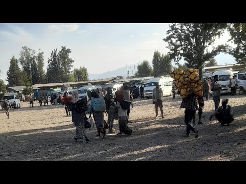 ትዝታ ቲዩብ Is Live