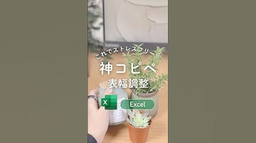 表調整、自由自在な裏ワザ𖧷 #エクセル #エクセル初心者 #excel初心者 #エクセル時短術 #エクセル時短 #エクセル時短ワザ #excel時短術 #パソコンスキル