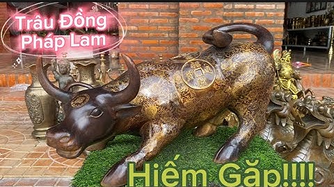 🔴🔴 Cặp Trâu Đồng Pháp Lam _ Cặp Tuỳ Hưu To Khủng _ Chân Nến Châu Âu _ Tối 5/6 #đồcổcầnthơ