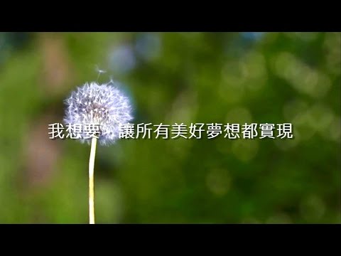 20170409夢想起飛開場影片(無現場收音)