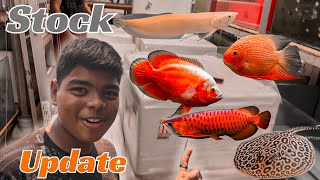 New Stock Update Video | New Exotic Stock Arrived