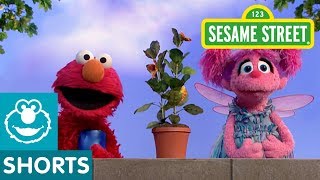 Sesame Street: Elmo and Abby Water a Plant