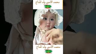 البرائة البريئة