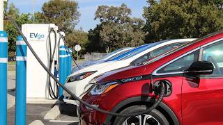 Electric Vehicle Sales have Exploded this Year