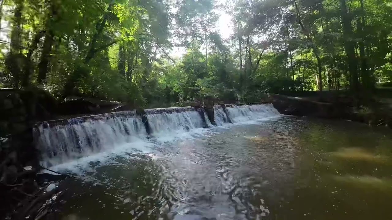 Lullwater Trail, Atlanta Ga