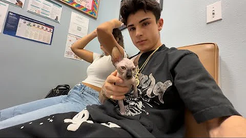 Watch the video about My Sphynx Kitten First Vet Visit
