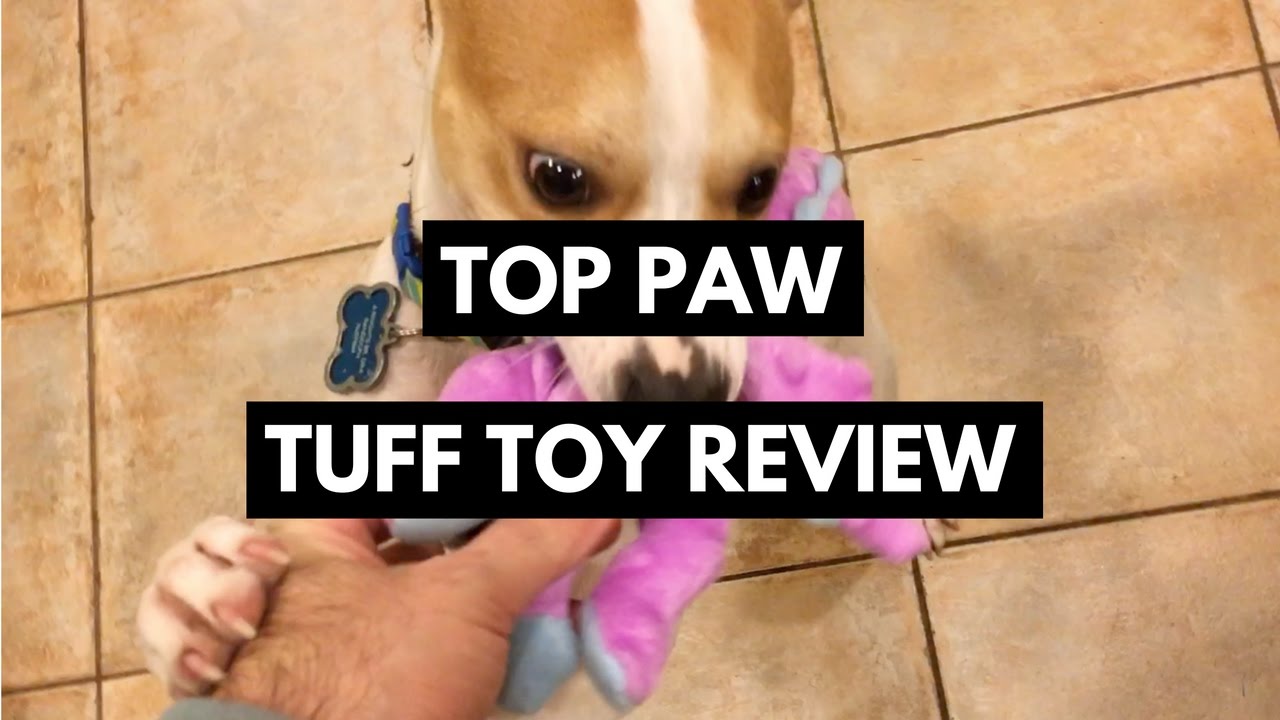 top paw tuff dog toys