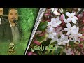 عماد رامي بنت الكرام عماد رامي بنت الكرام