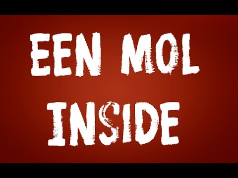 Review Aflevering 2 Een Mol In Limburg - Een Mol Inside