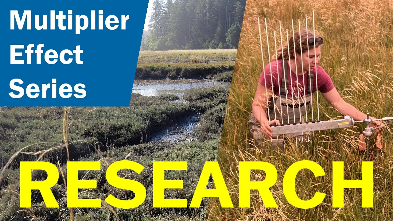 Research: Multiplier Effect at the South Slough Reserve