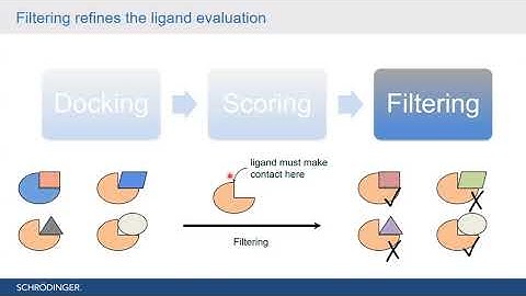 Virtual Screening, Need for Flexible Docking and Covalent Docking