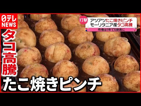 たこ焼きがピンチ…  海外での不漁でタコが高騰