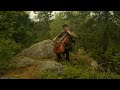 Jean Sibelius: Granen (Kuusi) Op. 75 No. 5