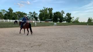West coast ranch riding pattern 5/6