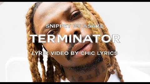 Asake Terminator Lyrics snippet