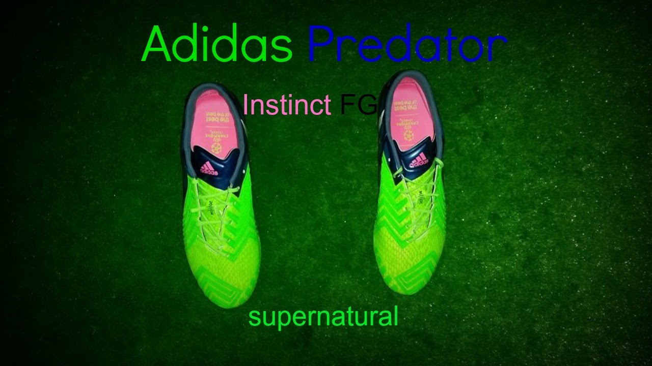 adidas predator absolion instinct fg
