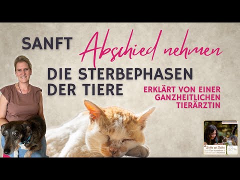 Video: Warum eine Tierärztin möglicherweise nur eine Haustierversicherung für ihre eigenen Haustiere benötigt