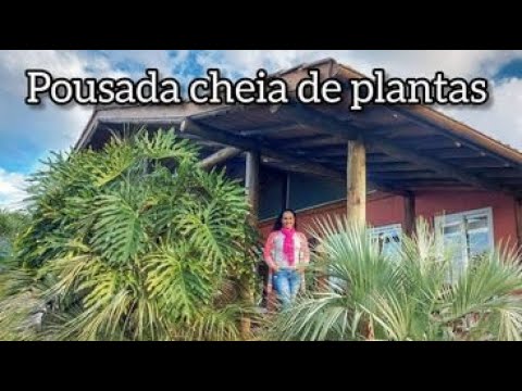Vídeo: Lojas De Plantas 